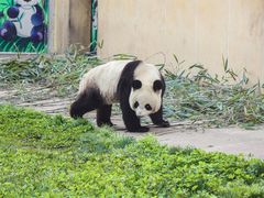 -西安秦岭野生动物园