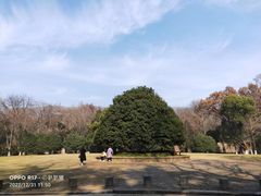 -灵谷景区