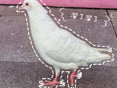 -万达广场(长沙开福店)