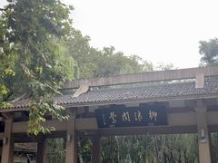 -柳浪闻莺公园