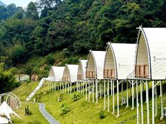 -江西阳明山国家森林公园