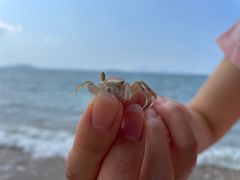-三亚蜈支洲岛旅游区