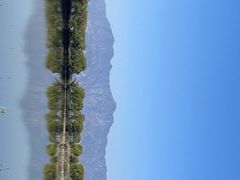 -野鸭湖国家湿地公园