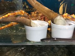-蓝珊瑚蒸汽海鲜餐厅(龙奥店)