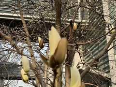 -同济大学(嘉定校区)