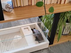 -昼夜咖啡馆