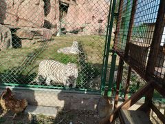 -鄂尔多斯野生动物园