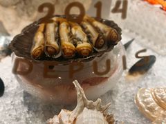 -壳里西餐厅Coquille Seafood Bistro(蒙自路店)