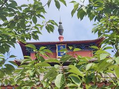 -石岛赤山风景区