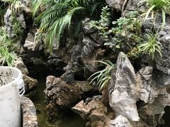 -三碗水湖生态园