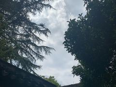 -秋霞圃