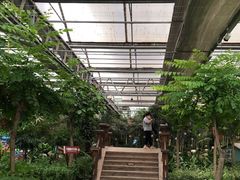 -南宫五洲植物乐园