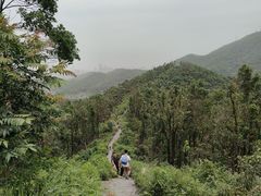 -桃花岭景区