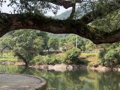 -上坦村