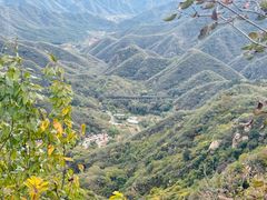 -大岭沟猕猴桃谷风景区