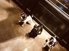 -LYFATTI 莱芙缇(赣水路店)