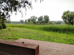 -东郊湿地公园