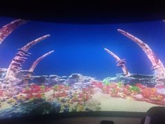 -北戴河圣蓝海洋公园