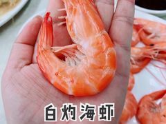 -红月湾海鲜饭店•沙滩海景(双月湾店)
