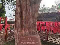 -玉泉观