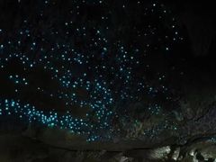 -怀托摩萤火虫洞