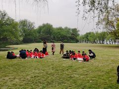 -蕃茄田艺术•美术绘画 •硬笔书法(滨江海威领界店)