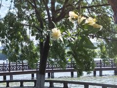 -石湖景区