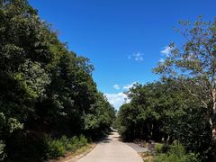 -北京西山国家森林公园