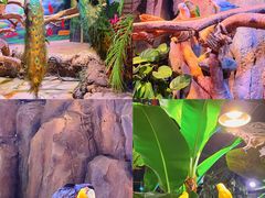 -正佳雨林生态植物园