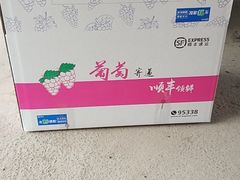 -马陆小张葡萄园农家乐