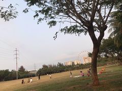 -万绿园