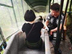 -龙湾潭国家森林公园