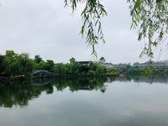 -杏花村文化旅游区