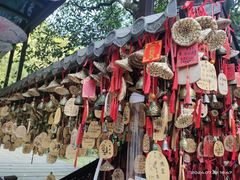 -黔灵山公园