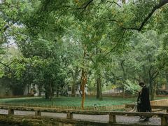 -西园戒幢律寺