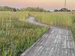 -永定河休闲森林公园