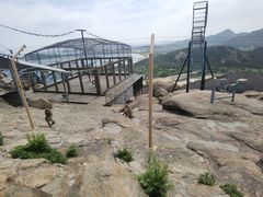 -西霞口神雕山野生动物世界