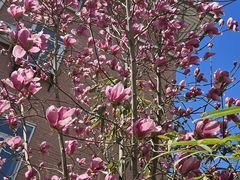 -首都医科大学附属北京友谊医院(西城院区)