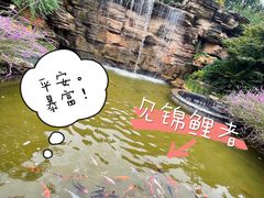 -七彩云南古滇温泉山庄