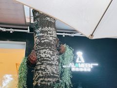 -ALAMEEN阿拉伯餐厅(三里屯店)