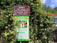 -北京十三陵国家森林公园蟒山景区