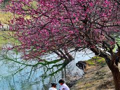 -白塘生态植物园