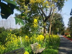 -上海长兴岛郊野公园