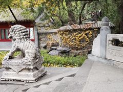 -香山公园