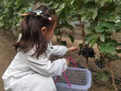 -兴芮温泉度假区