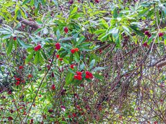 -宝岩生态观光园