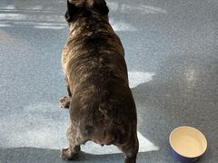 -佑安动物医院·全科·内窥镜中心(幸福巷店)