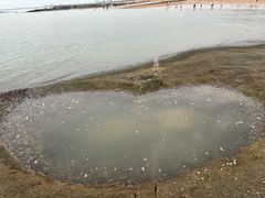 -日照灯塔风景区