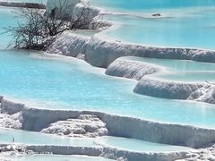-黄龙山原始森林景区