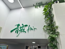 -青霖·飘逸造型